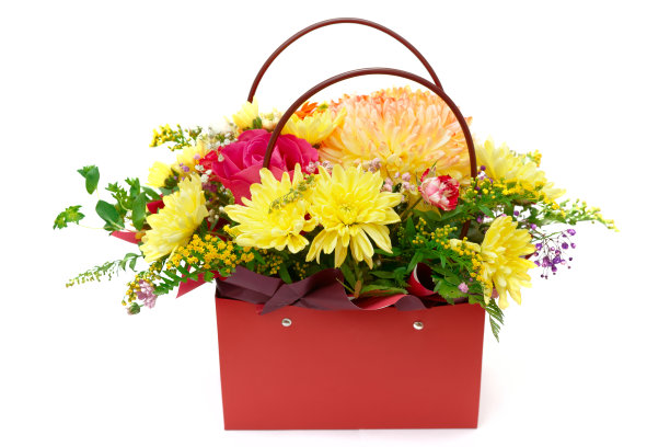 紫苑，菊花和玫瑰包在红色图片下载