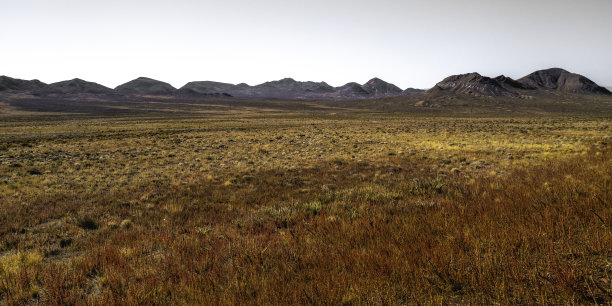 荒野中的秋季干旱草甸景观图片下载