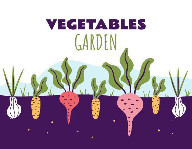 农业甜菜根胡萝卜洋葱蔬菜根抽象概念。矢量图形设计元素插图图片下载