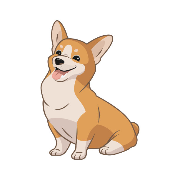 可爱的柯基狗坐着微笑，伸出舌头图片下载