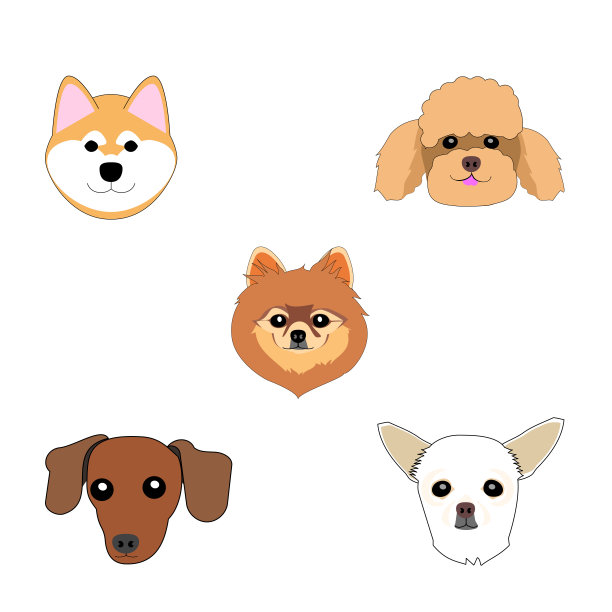 一组狗头图片下载