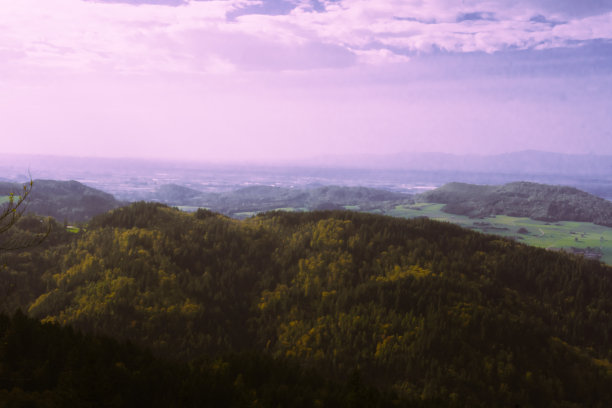 的梦幻blackforest图片下载