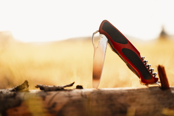 铝刀柄在自然界的木头上。木制的多用途口袋刀图片下载