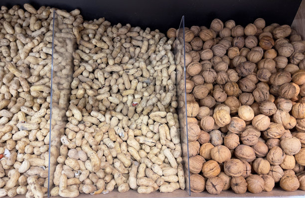 土和壳里的核桃，特写。概念——健康脂肪有益于健康。图片下载