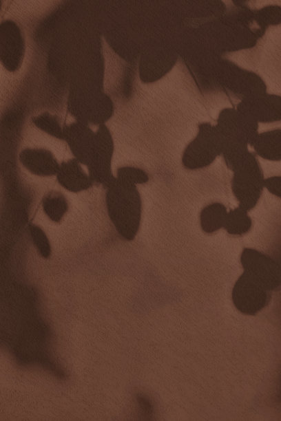 树叶的影子在棕色混凝土墙纹理背景图片下载