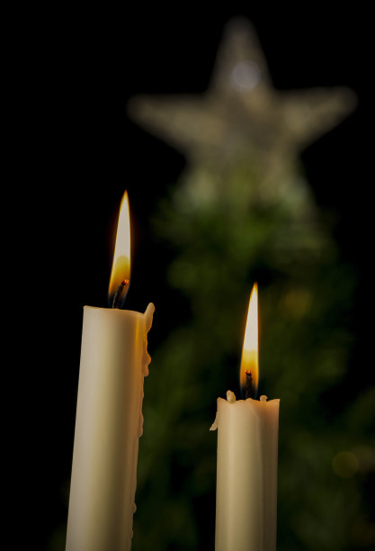 白色的蜡烛和黑色背景下的圣诞树图片下载