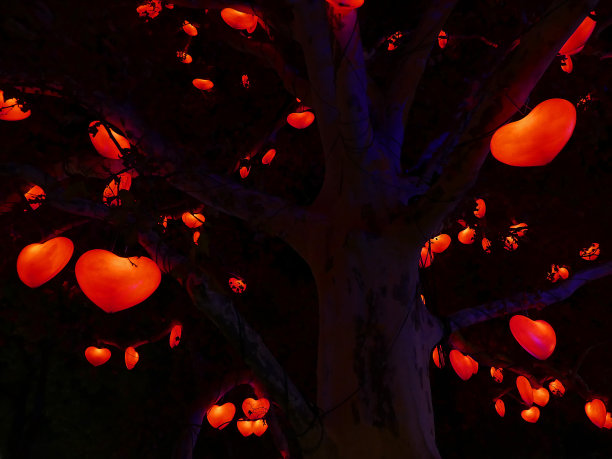 奥地利维也纳市政厅装饰的红色心形灯图片下载