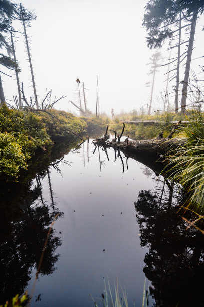 耶泽尼基的山景，从小耶泽尼克山顶的徒步小径上可以看到山脉的景色。为徒步旅行者穿过沼泽而设的通道图片下载