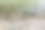 河边的一堆鹅卵石和石头图片下载