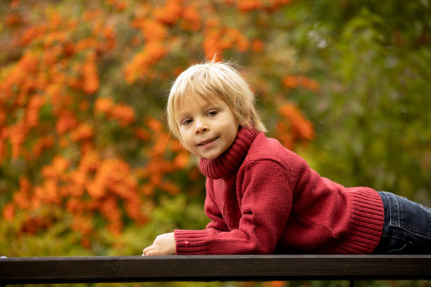 可爱的金发幼童，男孩，在公园里拿着蘑菇，在森林里摘图片下载