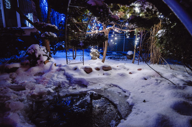 冰冻的花园池塘，冬天植物被雪覆盖。冬季花园装饰着LED灯。图片下载