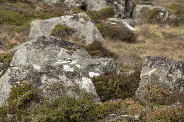 挪威峡湾的海岸景观图片下载