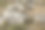 挪威峡湾的海岸景观图片下载