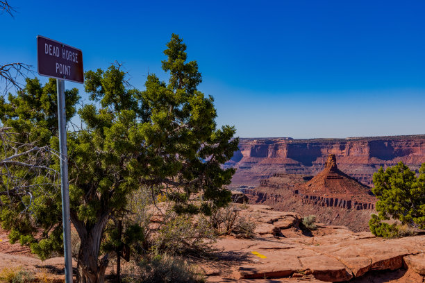 死马角州立公园的风景图片下载