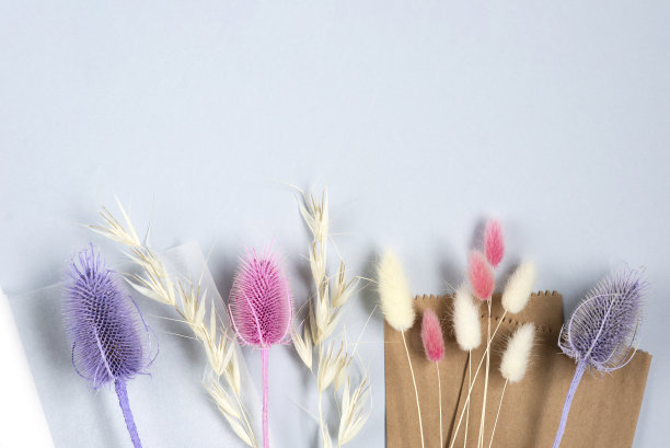 基本设置为简单的自制漂亮的粉色干花束在大师班。一个爱好，生意的想法。在灯光背景下制作长立花的时尚生态diy。本空间图片下载