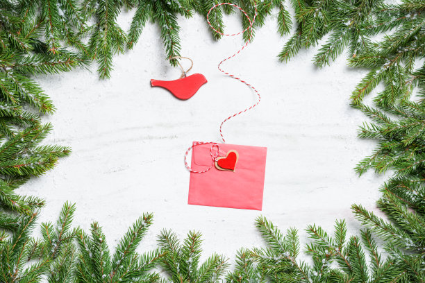 框架的杉树树枝与雪和圣诞信封，木制鸟在中间明亮的彩绘背景图片下载