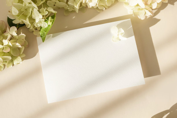 邀请卡片模型与绣球花米色粉彩背景。模板空白的白纸模拟品牌和广告。俯视图，平铺，复制空间。图片下载