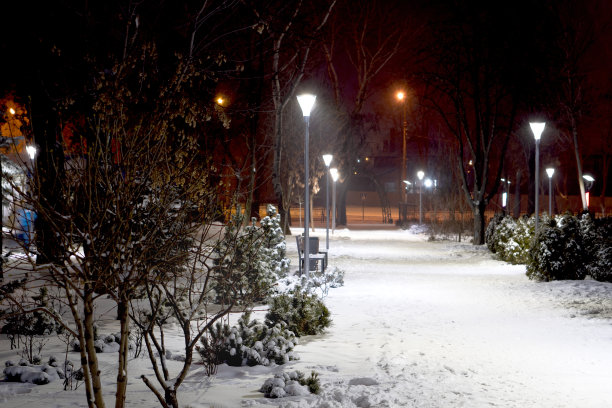 城市公园里的冬日巷子。晚上的风景。图片下载