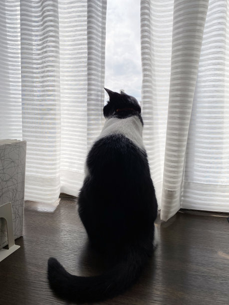 看看外面的世界图片下载