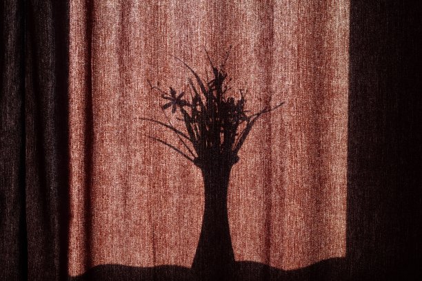 窗帘上有花的花瓶的影子。在明亮的阳光下，一个花瓶和一束花的黑色剪影在棕色织物窗帘的背景下。文本的复制空间图片下载