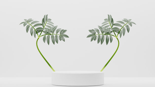 空白的产品货架站立背景。3 d渲染。图片下载