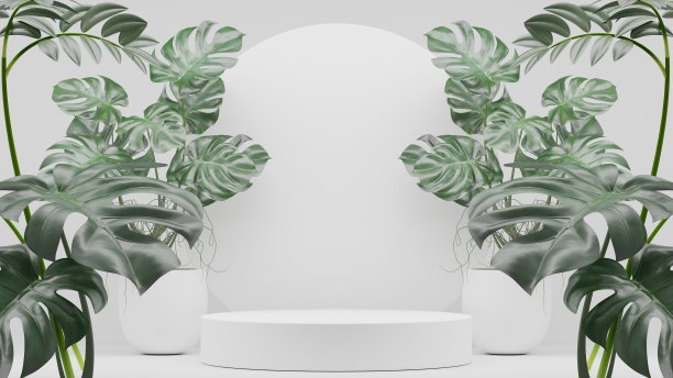 Monstera植物装饰和空裙台空白产品货架站立背景。3 d渲染。图片下载