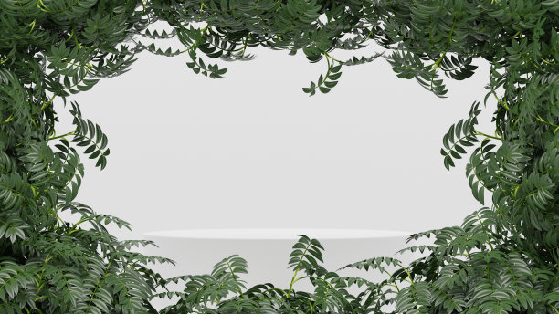 空白的产品货架站立背景。3 d渲染。图片下载