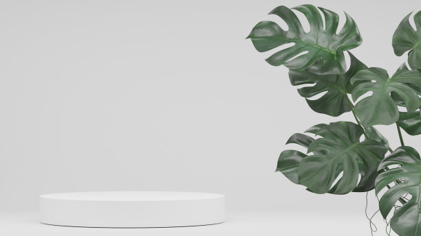 Monstera植物装饰和空裙台空白产品货架站立背景。3 d渲染。图片下载