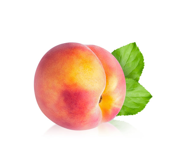 白色背景上孤立的桃果。图片下载