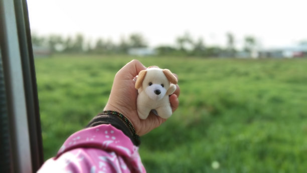 我手里拿着狗娃娃图片下载