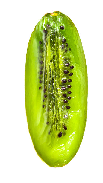 猕猴桃孤立在白色背景的整体和切割。图片下载