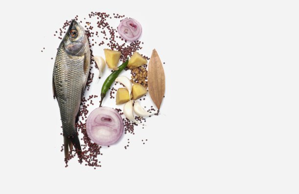 白底色，横向复制空间，洋葱，辣椒，大蒜，姜和芥菜籽的金鱼或鲤鱼图片下载