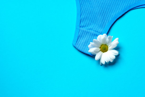 纸背景上有花蕾的妇女内裤图片下载