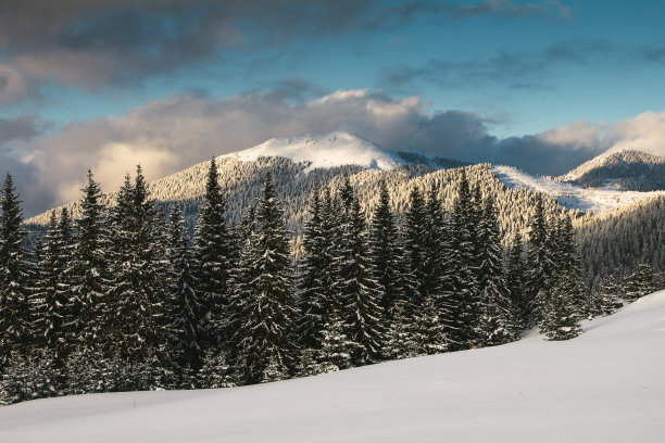 冬天山上日落时的风景。白雪覆盖着树木繁茂的山峰。图片下载