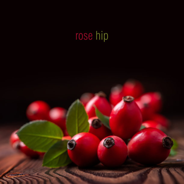 狗玫瑰与束枝蔷薇，类型蔷薇犬的臀部。药用植物及草药成分图片下载