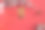 中国新年，兔年。2023年，金兔子和梅花扇。副本的空间。图片下载