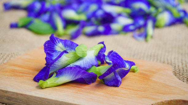 木板上一堆蝴蝶豌豆花(阴蒂)，背景是粗麻布，特朗花为凉茶原料-平铺概念图片下载