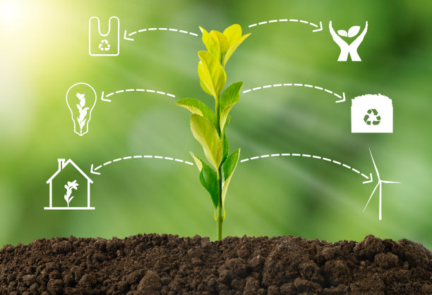 特写照片的灯泡回收图标与自然背景作为减少，再利用和回收资源的象征。图片下载