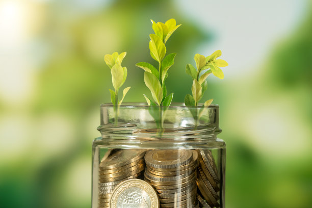 近距离的照片玻璃宰充满硬币和生长的植物里面作为投资或资金在业务的象征。图片下载