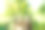 近距离的照片玻璃宰充满硬币和生长的植物里面作为投资或资金在业务的象征。图片下载