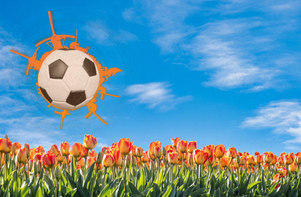 荷兰橙色足球在郁金香花场上图片下载