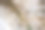 旧损毁混凝土结构的天花板上有湿斑。图片下载