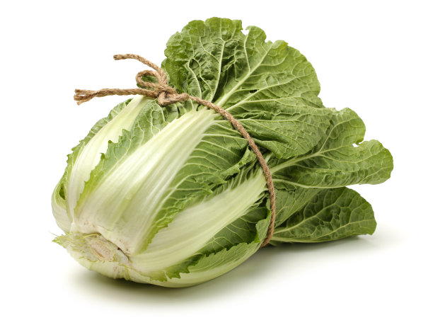 白菜图片下载