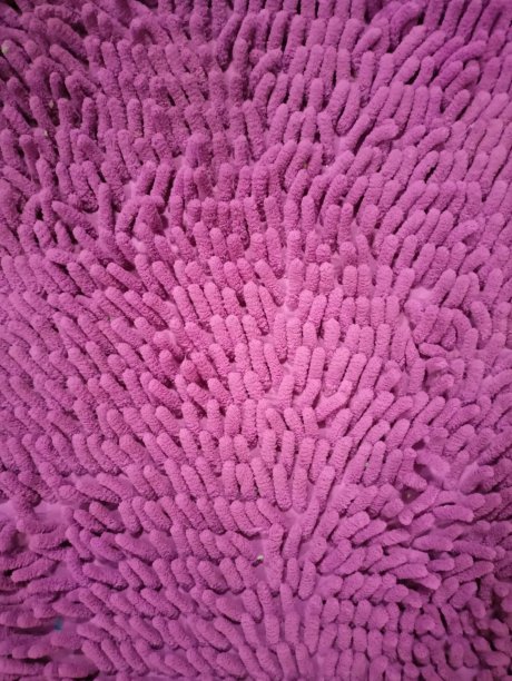 独特的紫色质感图片下载