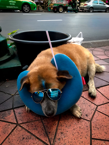 积极思考图片下载