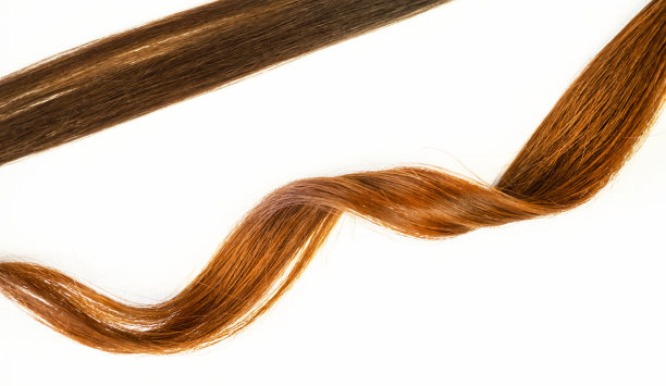 一缕头发。白色背景下的健康女性头发。护发理念。图片下载