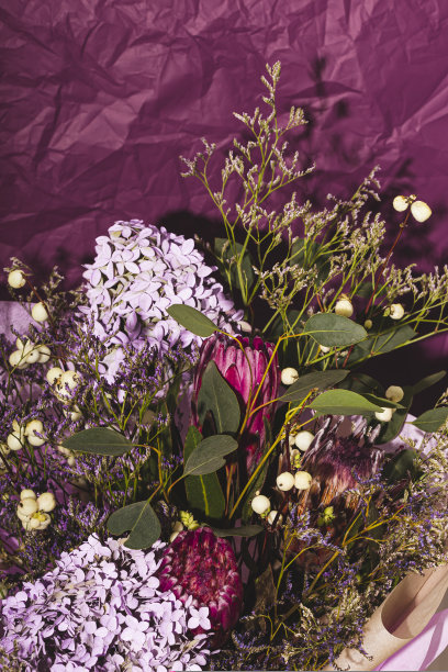 美丽的花束与干绣球花，非洲玫瑰和桉树在紫色的背景。一束干花，垂直照片图片下载