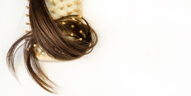 梳子上有一缕头发。白色背景下的健康女性头发。护发理念。图片下载