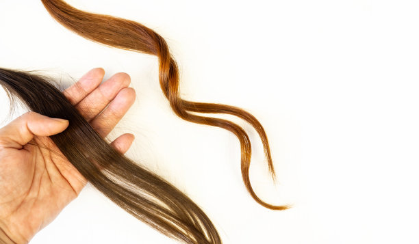 一缕头发。白色背景下的健康女性头发。护发理念。图片下载