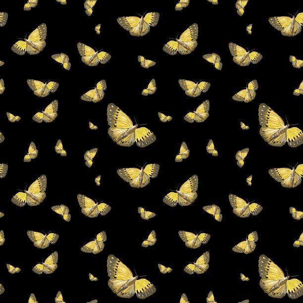 蝴蝶黄色可爱的图案黑色水彩图片下载